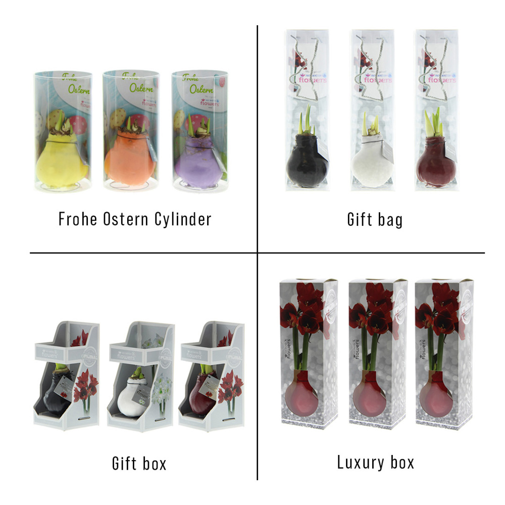 No Water Flowers® - Printz Frohe Ostern mix, Zonder verpakking