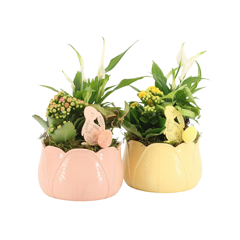 Easter colourful ceramic large - Kalanchoë