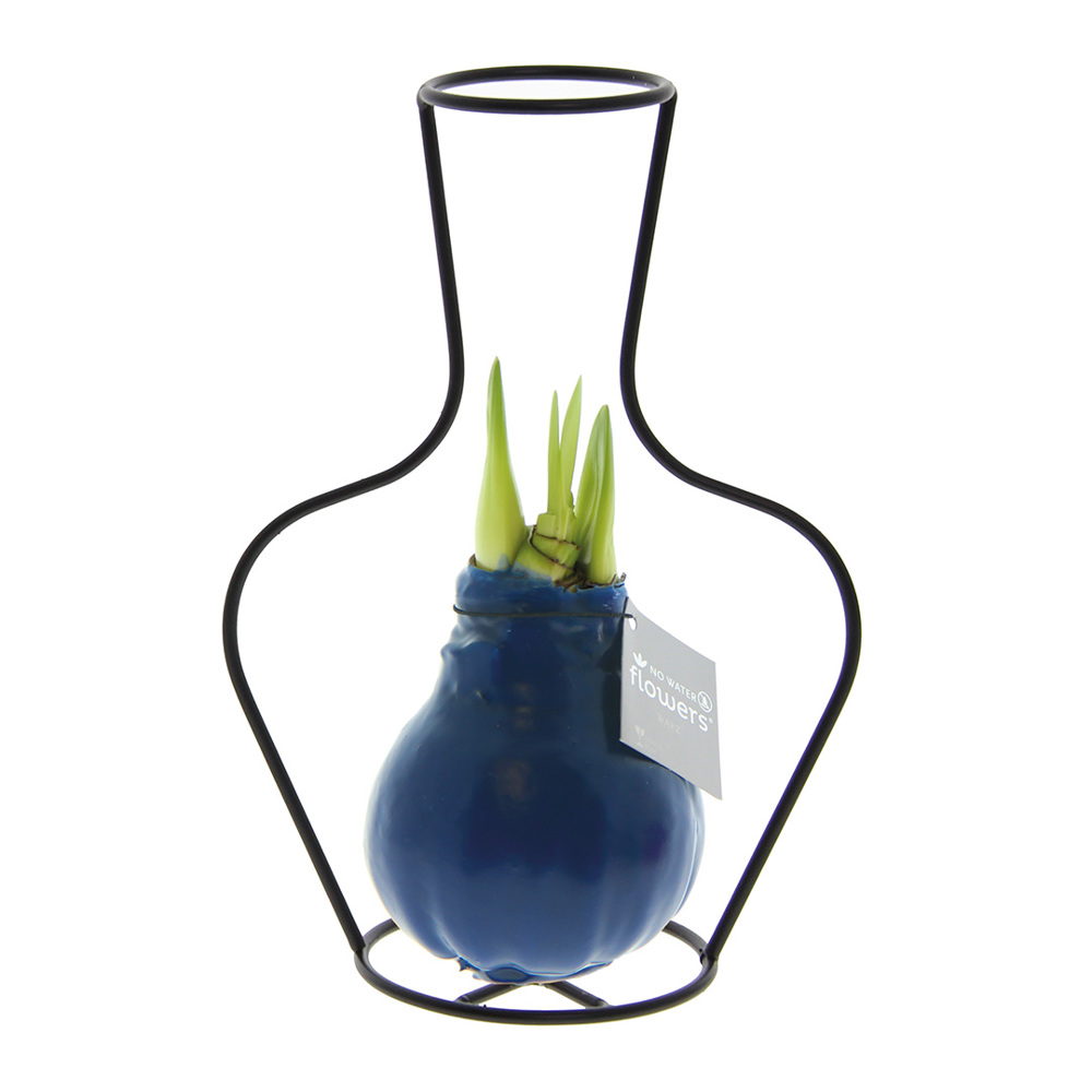 No Water Flowers® - Formz classic - donkerblauw
