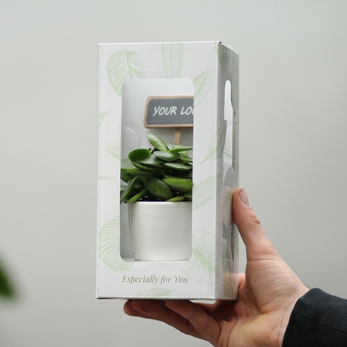 ChalkNotes® - Green mix, Zonder verpakking