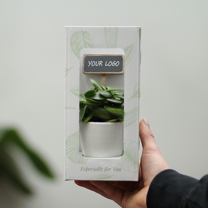 ChalkNotes® - Easy care mix, Zonder verpakking