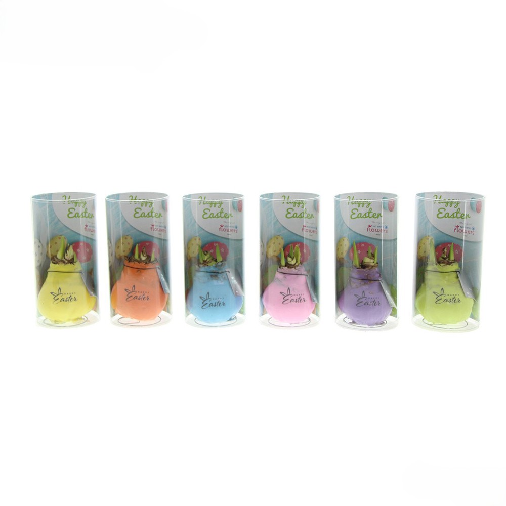 No Water Flowers® - Printz Happy Easter mix, Zonder verpakking