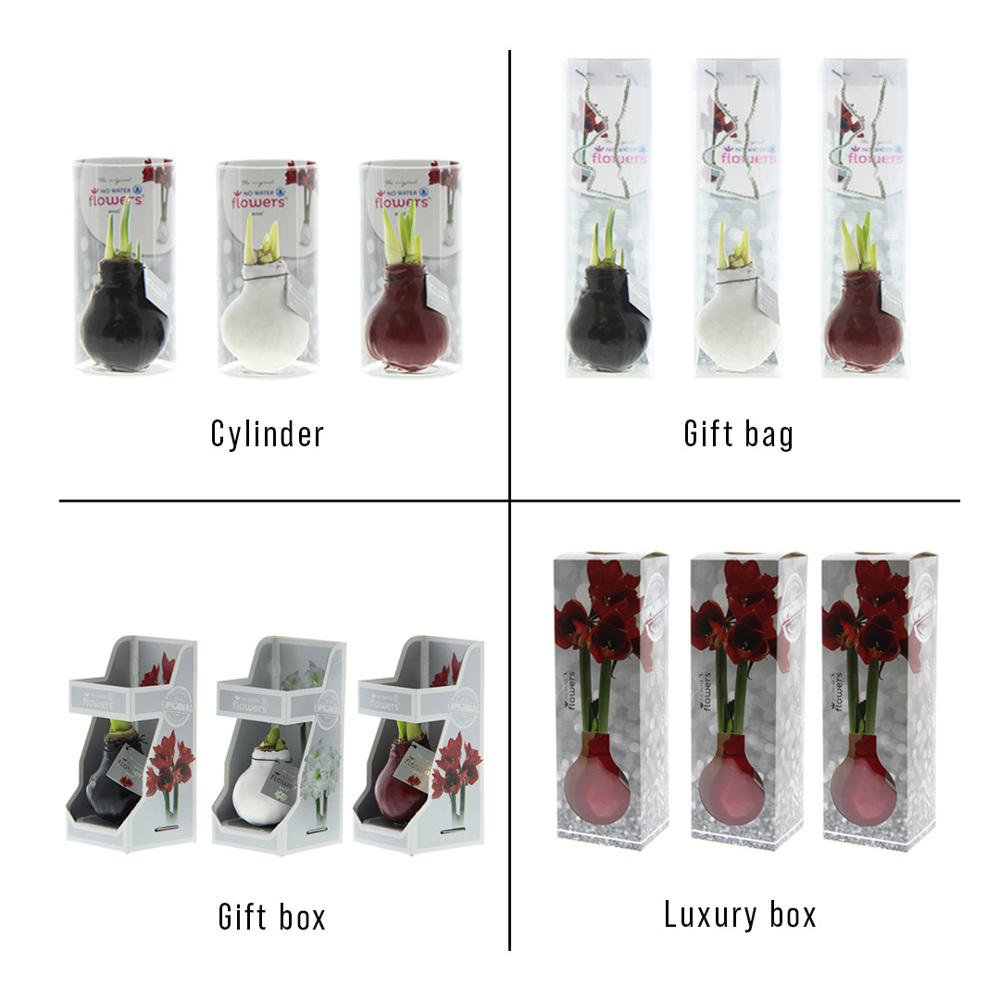 No Water Flowers® - Craftz Santa & Friends mix, Zonder verpakking