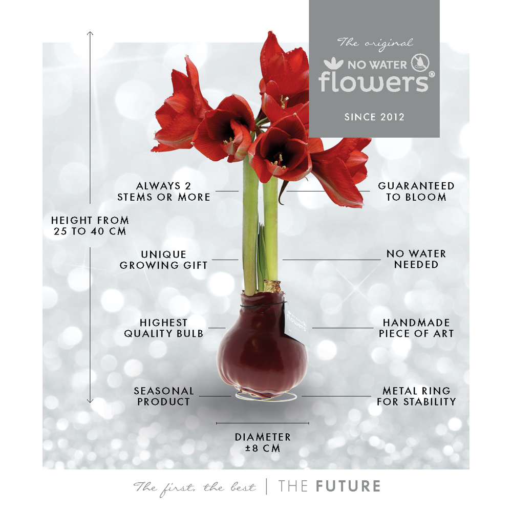 No Water Flowers® - Formz industrial, Zonder verpakking, Goud