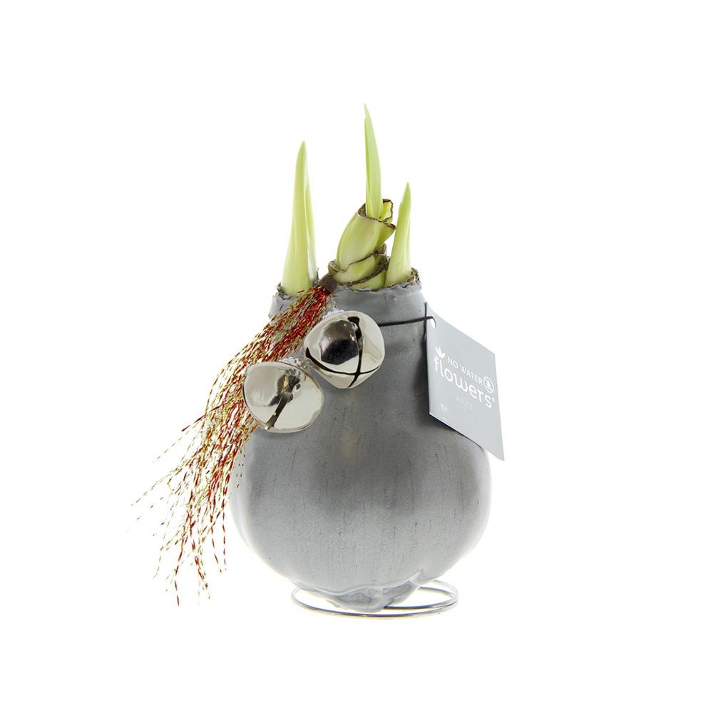 No Water Flowers® - Jingle Bellz - zilver