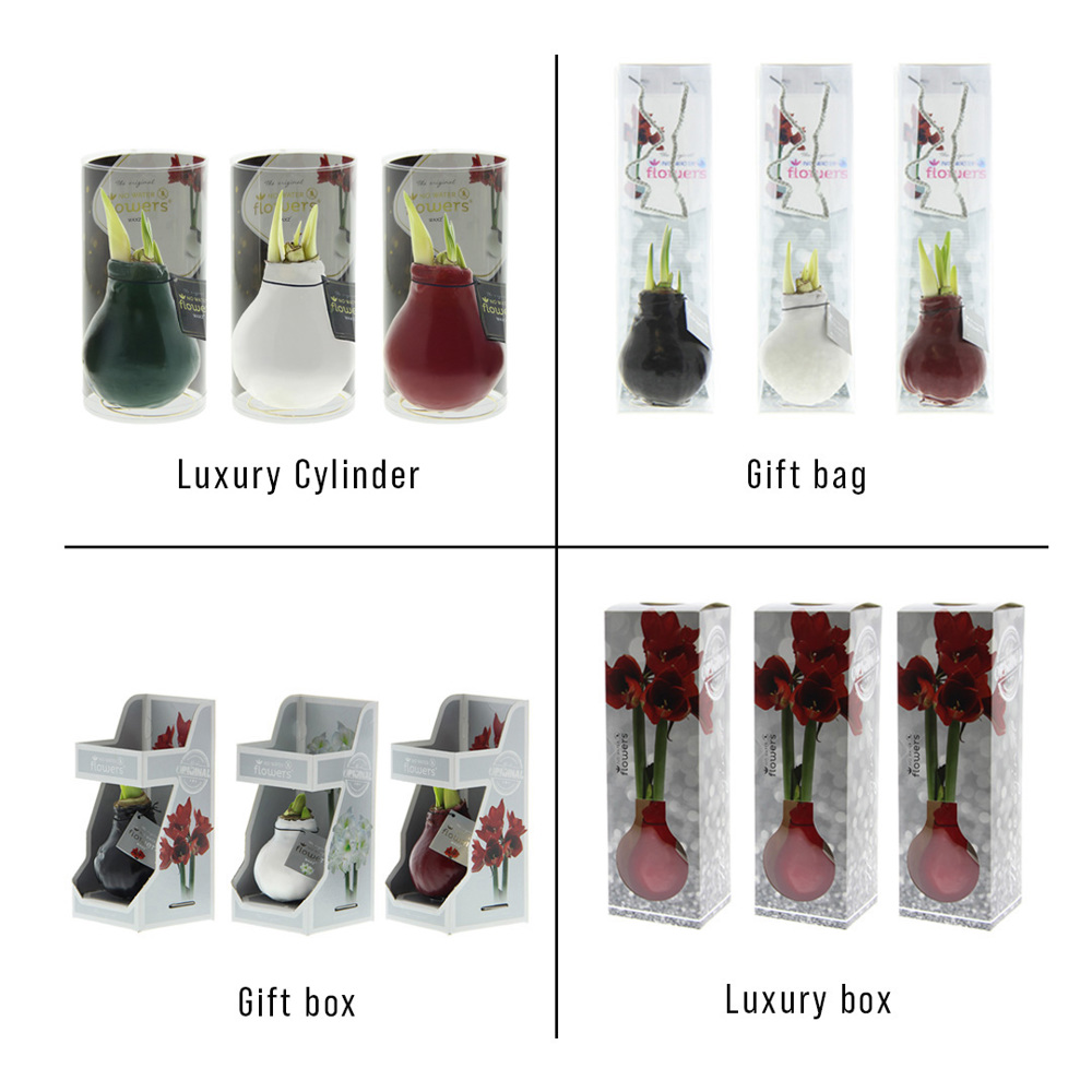 No Water Flowers® - Printz Frohe Weihnachten mix, Zonder verpakking