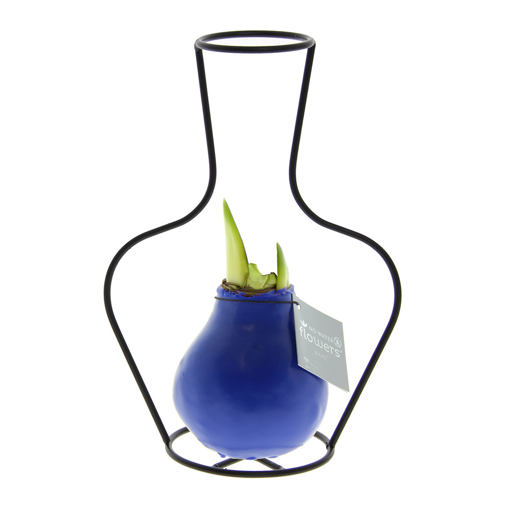 No Water Flowers® - Formz classic - blauw