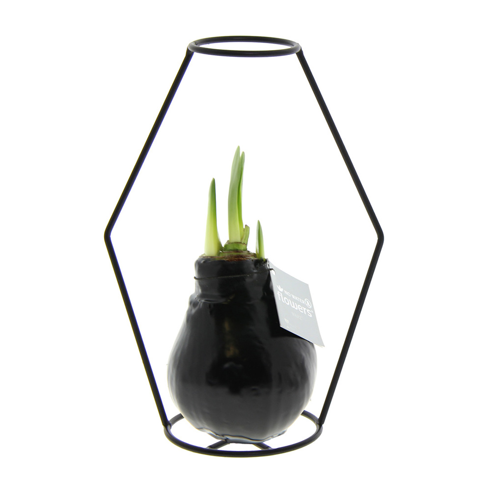 No Water Flowers® - Formz modern - Zwart