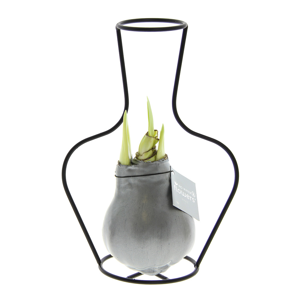 No Water Flowers® - Formz classic - zilver