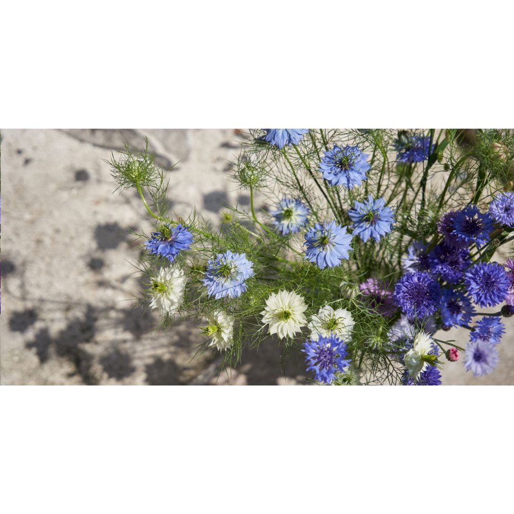 Sproutworld Sharpened Pencil potlood