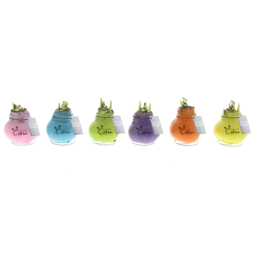 No Water Flowers® - Printz Frohe Ostern mix