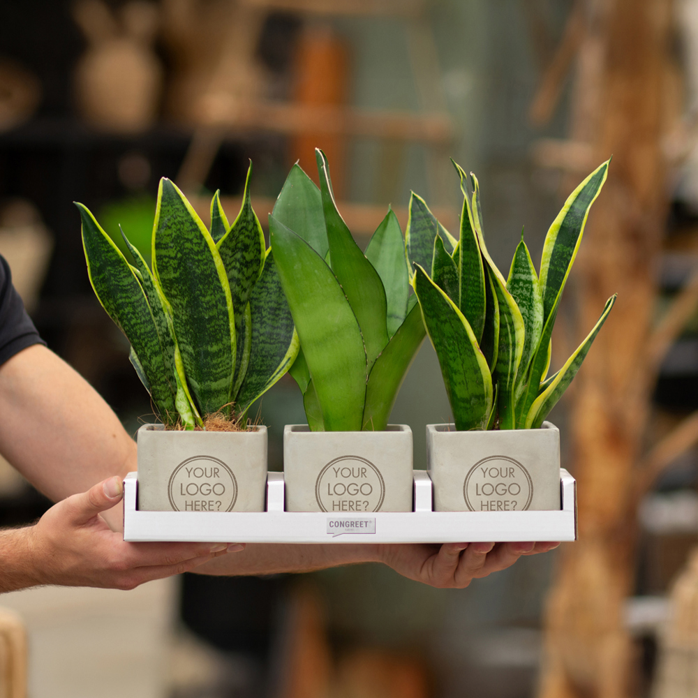 Congreet® plantpots large, Zonder verpakking