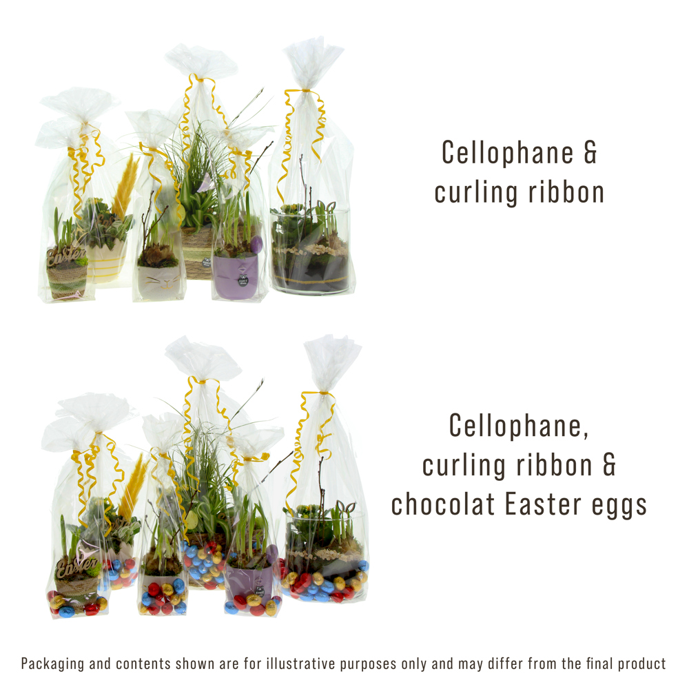 Easter basket large - Narcis, Zonder verpakking