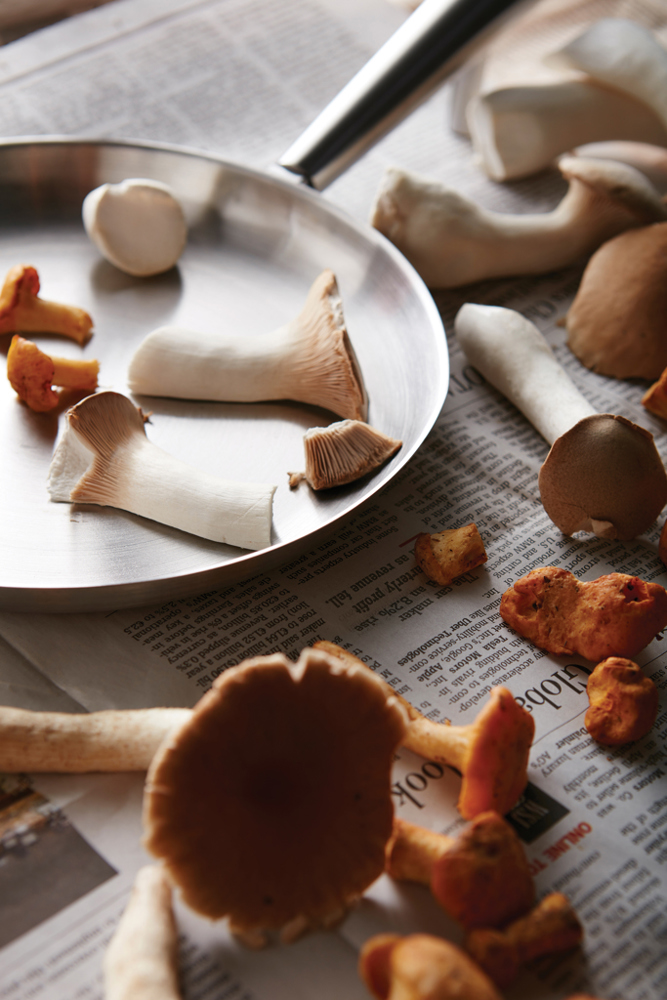 VINGA Zweedse outdoor pan