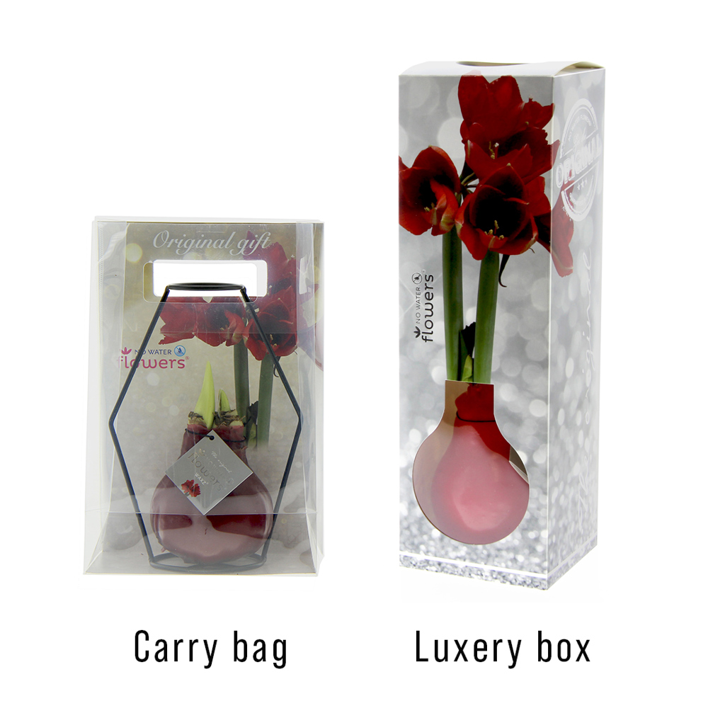 No Water Flowers® - Formz modern, In luxury box, Goud
