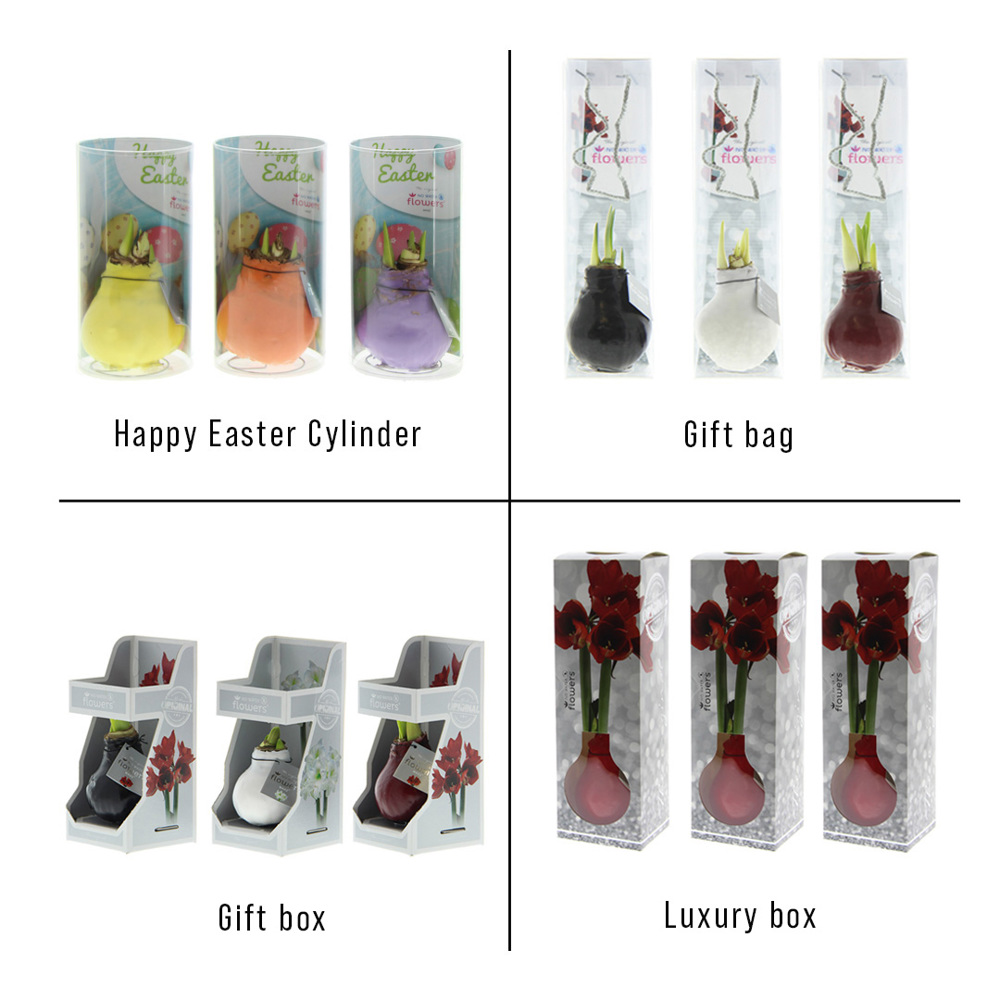 No Water Flowers® - Printz Happy Easter mix, Zonder verpakking