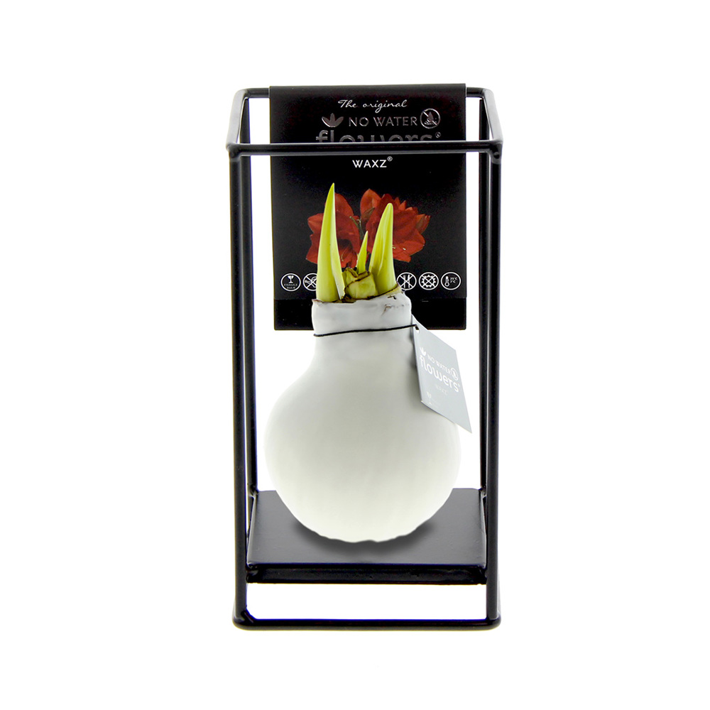 No Water Flowers® - Formz industrial - Wit