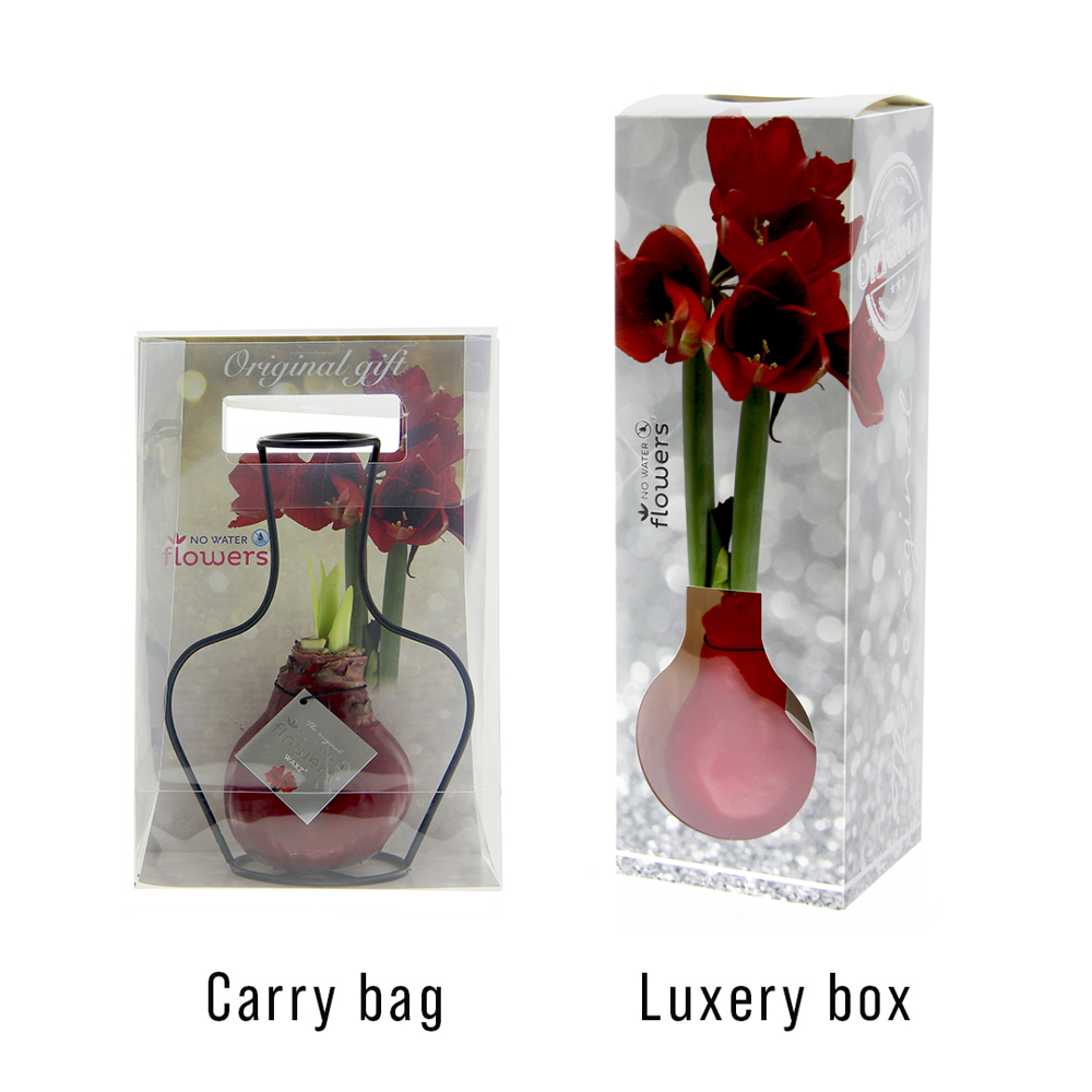 No Water Flowers® - Formz classic, In carry bag, Rood