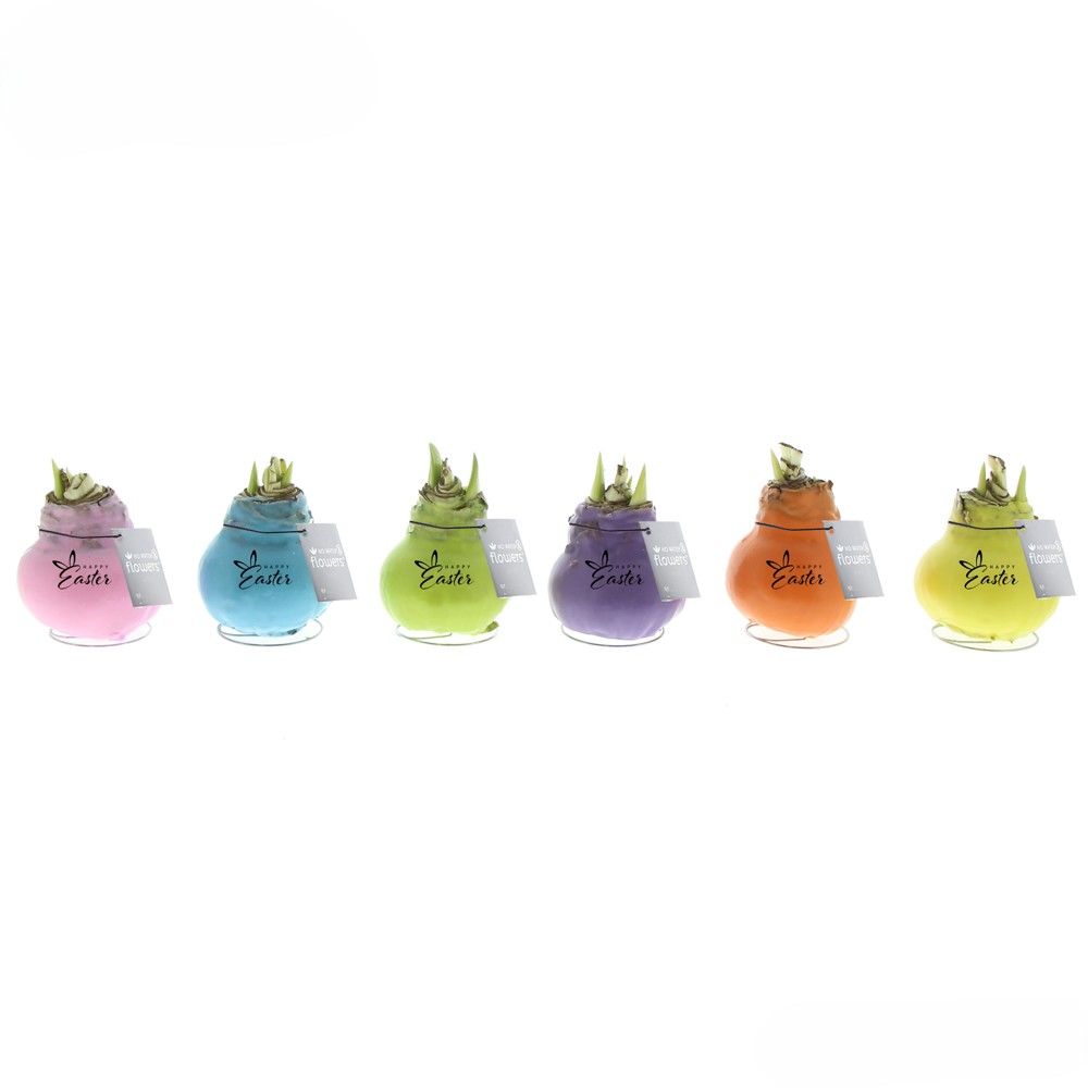 No Water Flowers® - Printz Happy Easter mix